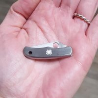 Spyderco Bug Knife Plain Taschenmesser