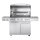 Allgrill® DE-LUXE Topline Volledelstahl Gasgrill CHEF XL