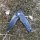 CJH Taschenmesser Wolf schwarz Slipjoint