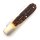 Otter Taschenmesser klein Hirschhorn Carbon