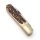 Otter Taschenmesser klein Hirschhorn Carbon